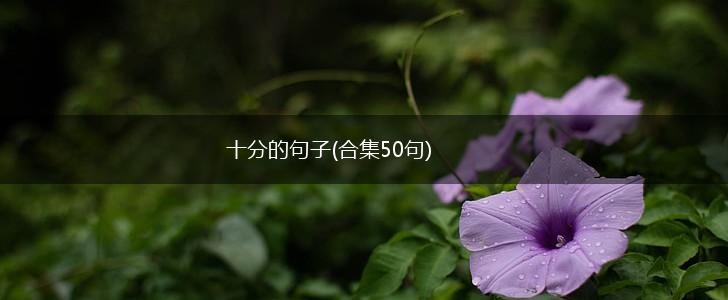十分的句子(合集50句),第1张