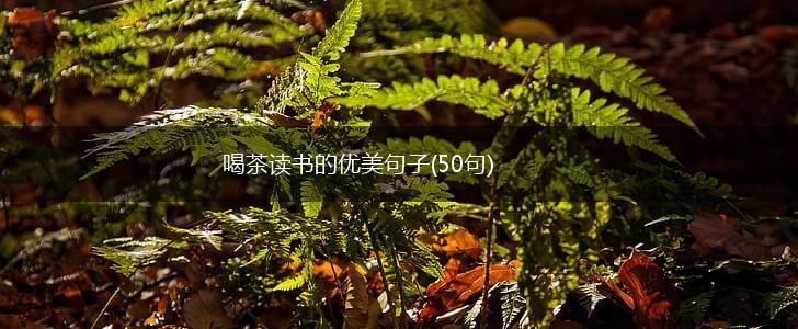 喝茶读书的优美句子(50句),第1张