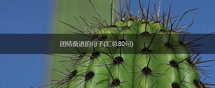 团结奋进的句子(汇总80句),第1张