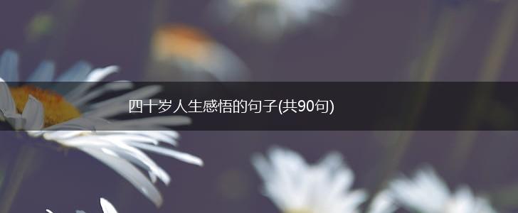 四十岁人生感悟的句子(共90句),第1张
