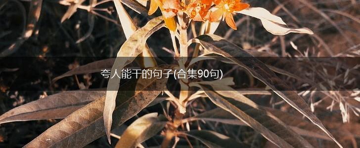 夸人能干的句子(合集90句),第1张