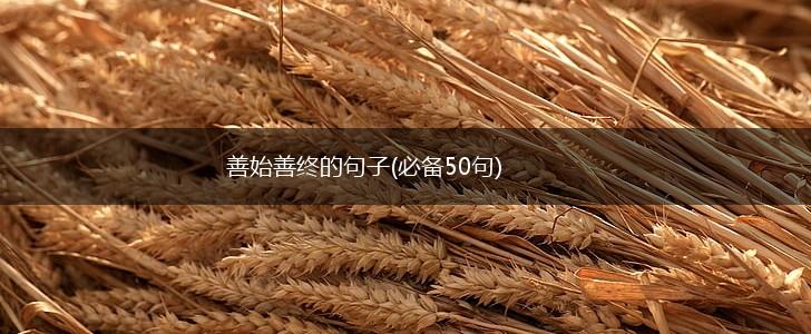 善始善终的句子(必备50句),第1张