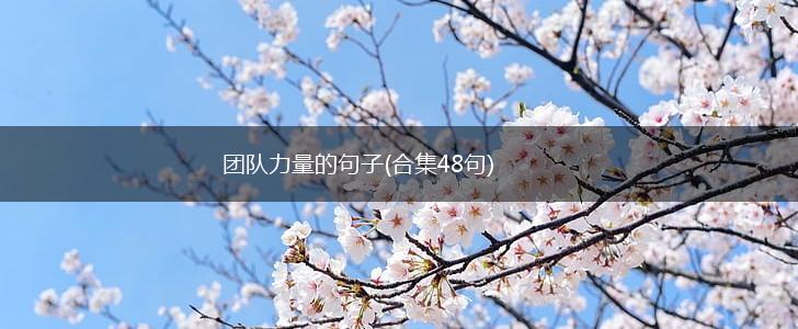 团队力量的句子(合集48句),第1张