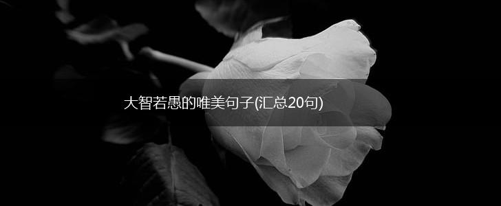 大智若愚的唯美句子(汇总20句),第1张