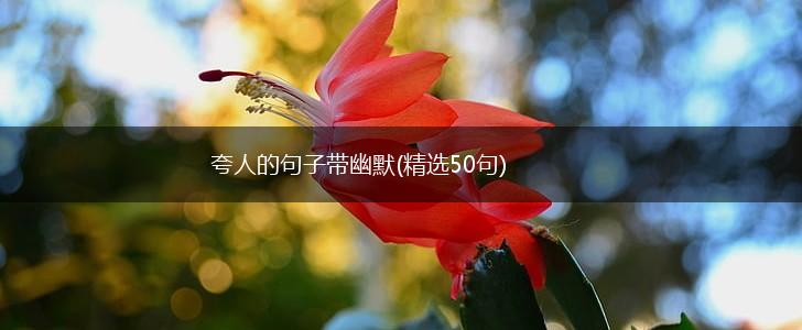 夸人的句子带幽默(精选50句),第1张
