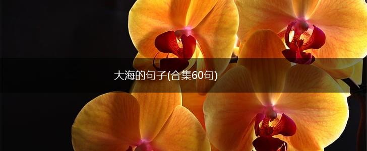 大海的句子(合集60句),第1张