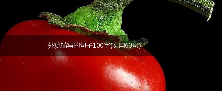 外貌描写的句子100字(实用63句),第1张
