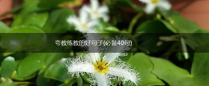 夸教练教的好句子(必备40句),第1张