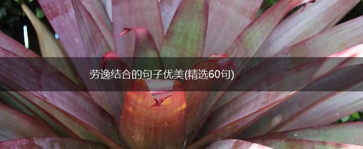 劳逸结合的句子优美(精选60句),第1张
