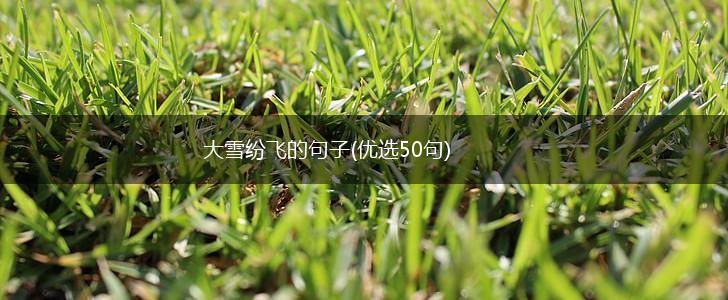大雪纷飞的句子(优选50句),第1张