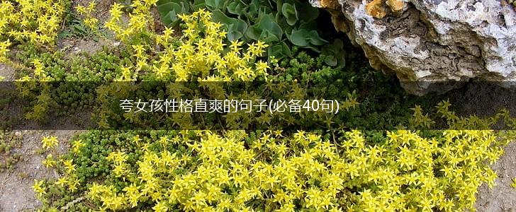 夸女孩性格直爽的句子(必备40句),第1张