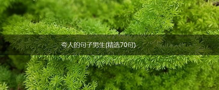夸人的句子男生(精选70句),第1张