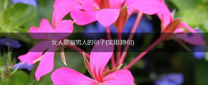 女人欺骗男人的句子(实用39句),第1张