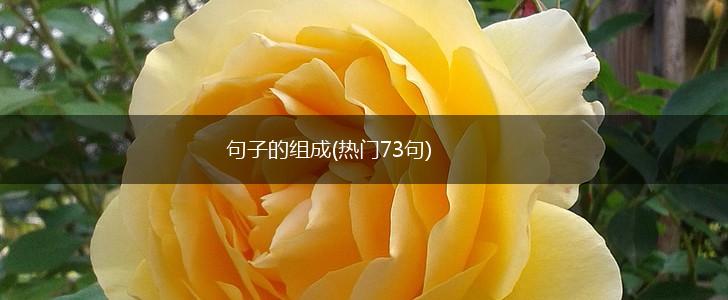 句子的组成(热门73句),第1张