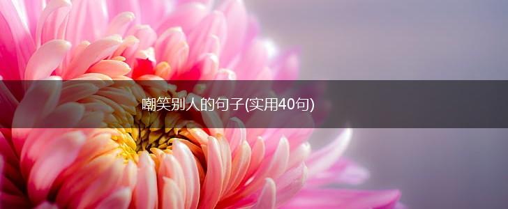 嘲笑别人的句子(实用40句),第1张