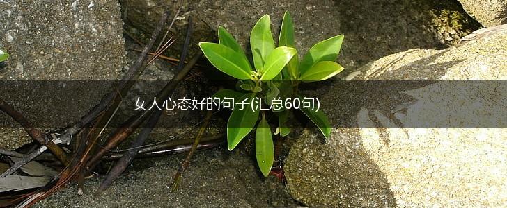 女人心态好的句子(汇总60句),第1张