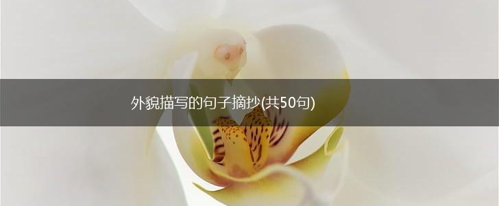 外貌描写的句子摘抄(共50句),第1张