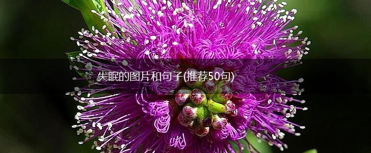 失眠的图片和句子(推荐50句),第1张