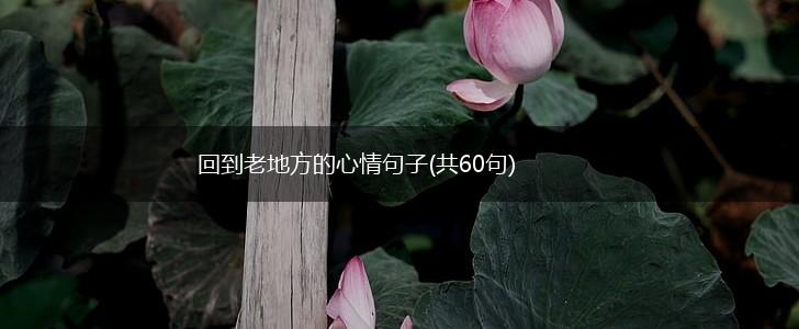 回到老地方的心情句子(共60句),第1张