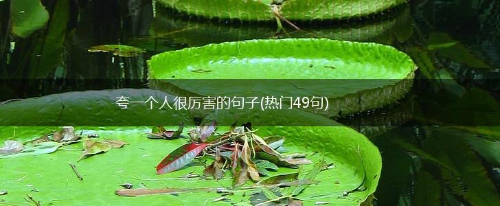 夸一个人很厉害的句子(热门49句),第1张