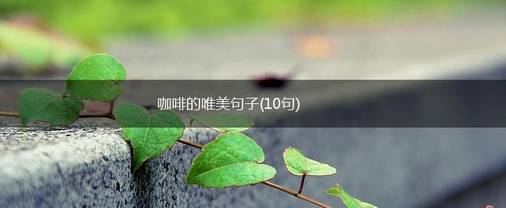 咖啡的唯美句子(10句),第1张