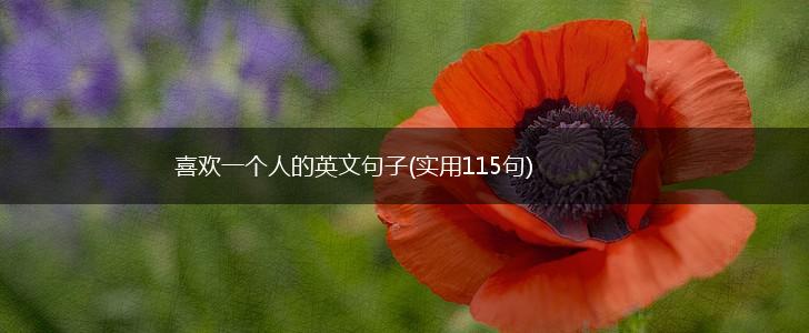 喜欢一个人的英文句子(实用115句),第1张