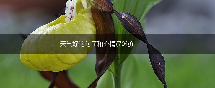 天气好的句子和心情(70句),第1张