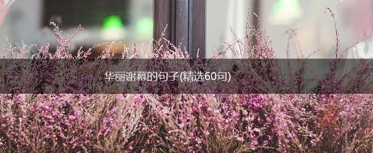 华丽谢幕的句子(精选60句),第1张