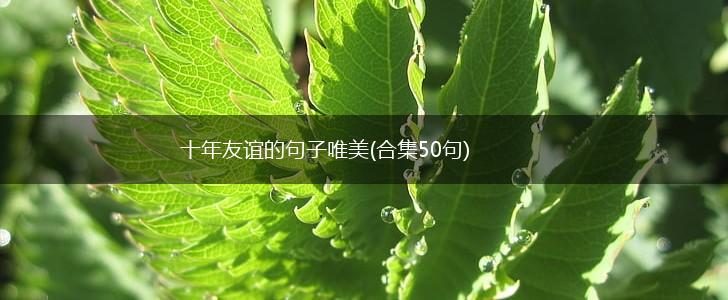 十年友谊的句子唯美(合集50句),第1张