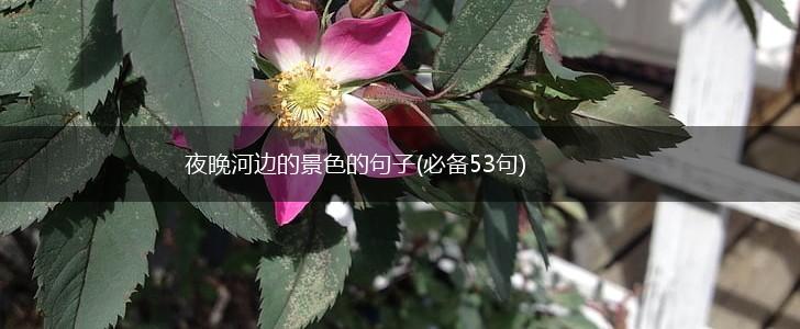 夜晚河边的景色的句子(必备53句),第1张