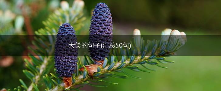 大笑的句子(汇总50句),第1张