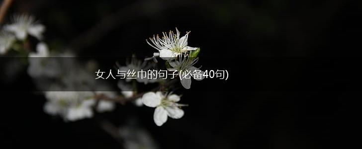 女人与丝巾的句子(必备40句),第1张