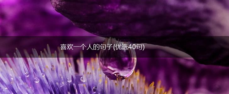 喜欢一个人的句子(优选40句),第1张