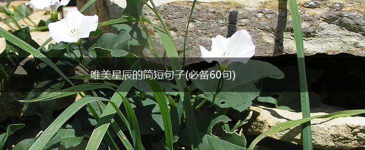 唯美星辰的简短句子(必备60句),第1张