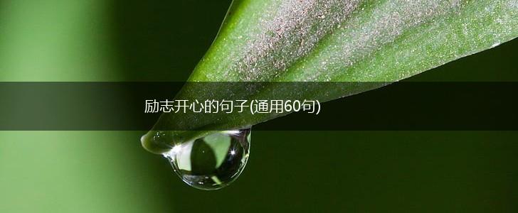 励志开心的句子(通用60句),第1张