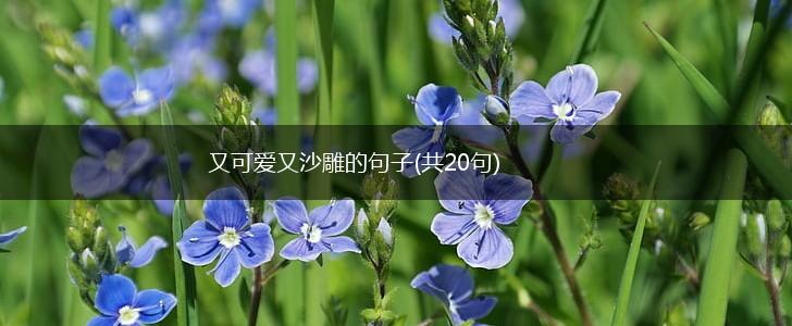 又可爱又沙雕的句子(共20句),第1张