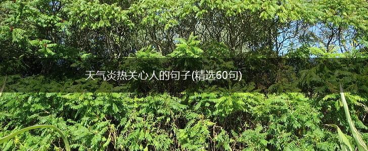 天气炎热关心人的句子(精选60句),第1张