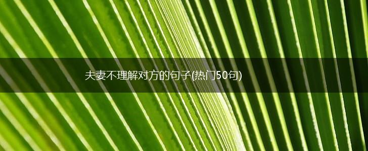夫妻不理解对方的句子(热门50句),第1张