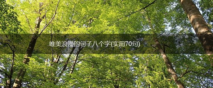 唯美浪漫的句子八个字(实用70句),第1张