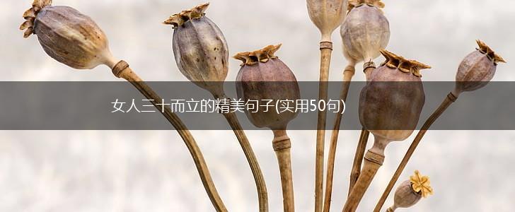 女人三十而立的精美句子(实用50句),第1张