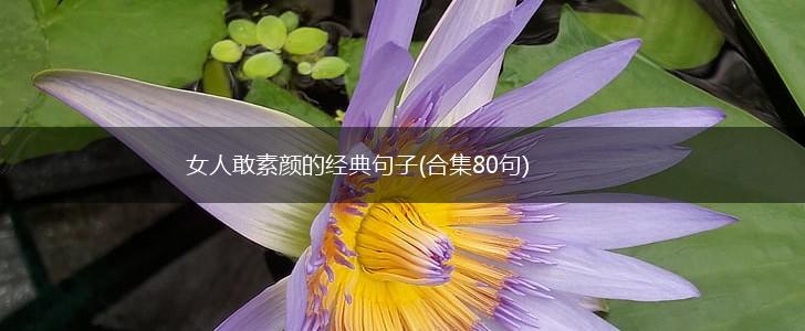 女人敢素颜的经典句子(合集80句),第1张