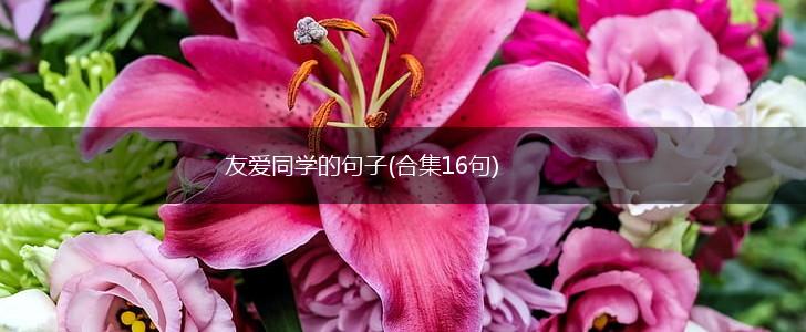 友爱同学的句子(合集16句),第1张