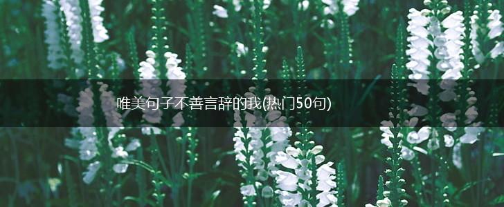 唯美句子不善言辞的我(热门50句),第1张
