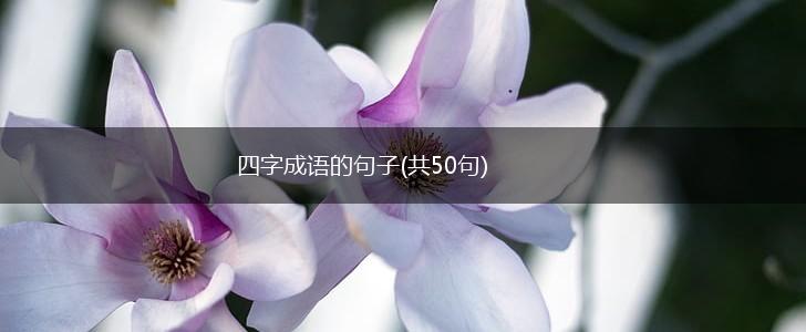 四字成语的句子(共50句),第1张