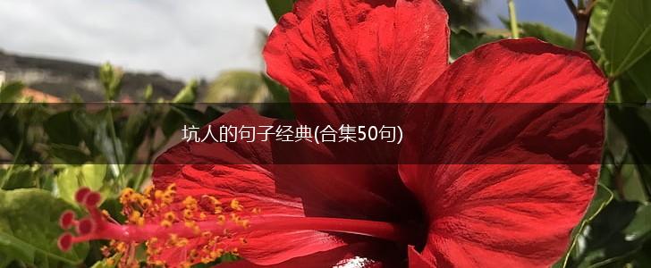坑人的句子经典(合集50句),第1张