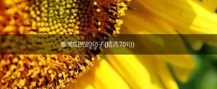 唯美阳光的句子(精选70句),第1张