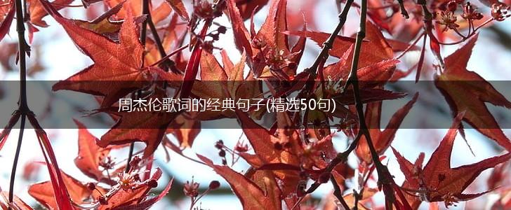 周杰伦歌词的经典句子(精选50句),第1张
