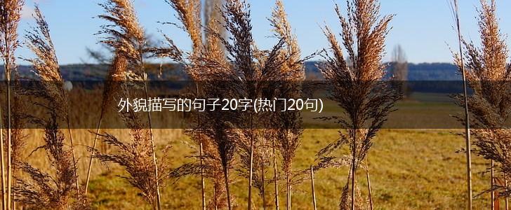 外貌描写的句子20字(热门20句),第1张