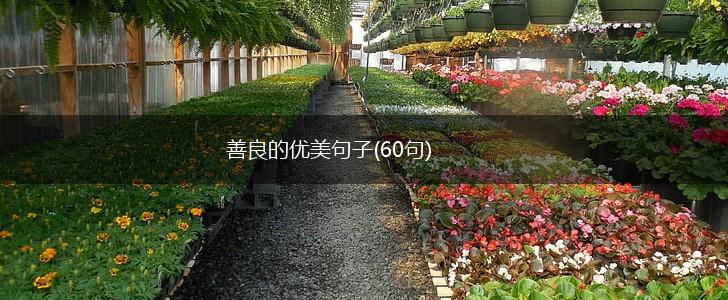 善良的优美句子(60句),第1张