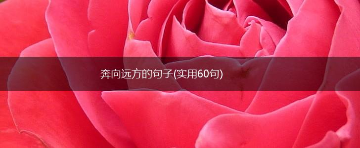 奔向远方的句子(实用60句),第1张